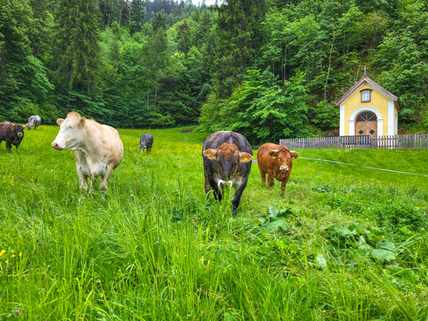 Rondwandeling Silz, Tirol